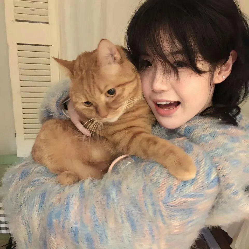 猛龙过沟2